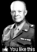 Image of You Like Ike (Eisenhower) shirt