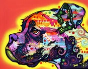 Image of Profile Boxer PRINT