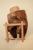 Image of Ian Foster: Tree Trunk