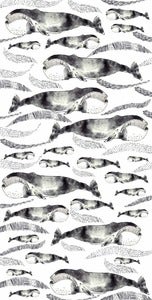 Image of The Whale Series: The Greenland Right Whale
