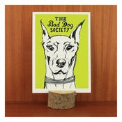 Image of SOVEREIGN DOBERMAN PRINT by Evie Kemp
