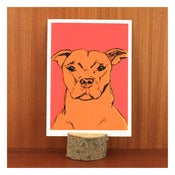 Image of STAUNCH PRINT by Evie Kemp