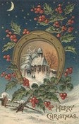 Image of Christmas Pudding Scrub! - 12.8 oz.