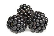 Image of Blackberry Vanilla