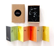 Image of 2012 Accordion Calendar