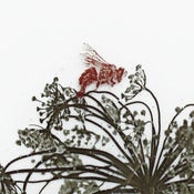 Image of A Garden Scene 