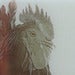 Image of A Rooster