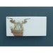Image of Highland Cow 