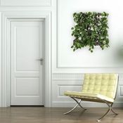 Image of Wallnatura x1 con plantas