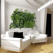 Image of Wallnatura x4 con plantas