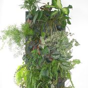 Image of Wallnatura x4 Totem sin taladrar + plantas