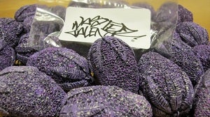 Image of Wasted Talent Marijuana Medallions (Purple Haze Edition)