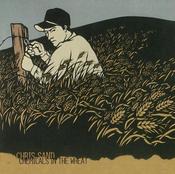 Image of Chemicals in the Wheat (2010)