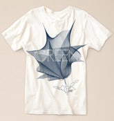 Image of Linee Fiore T-shirt (Unisex)