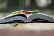 Image of Salvation bracelet