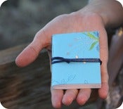 Image of Mini Journals