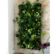 Image of Wallnatura x6 con plantas + bomba riego