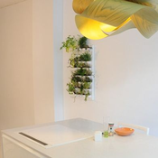 Image of Wallnatura Marco Vegetal Aromáticas
