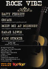 Image of Acoustic Gig, Read Description!