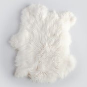 Image of Angora Rabbit Pelt