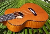 Image of Makai Solid Mango Series M-K90 Concert w/bag