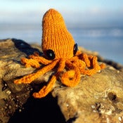 Image of Syd the Squid Natural Dye Kit