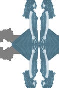 Image of Clairvoyance 20 x 30 print