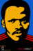 Image of Limited Edition Tribute Steve Biko Poster