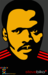 Image of Limited Edition Tribute Steve Biko Poster