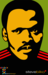 Image of Limited Edition Tribute Steve Biko Poster
