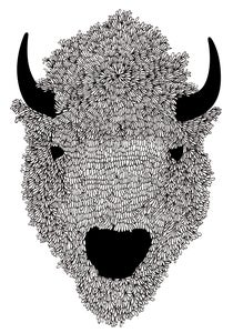 Image of Bison