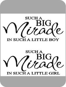 Image of Such a BIG Miracle...