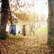 Image of Out to Dry