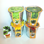 Image of Jardin macetas zinc + Trebol gratis