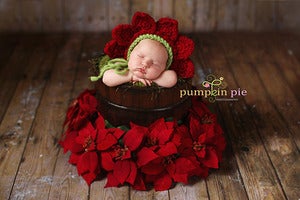 Image of Poinsettia Flower Bonnet