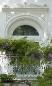 Image of The Soul In Bloom~ Home Edition~ online course only