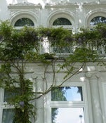 Image of The Soul In Bloom~ Home Edition~ online course and retreat