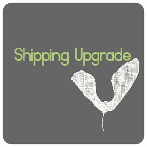 Image of SHIPPING UPGRADE, 'International Signed For'.