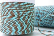 Image of Aqua Delight - Aqua and Brown Bakers Twine by Timeless Twine™
