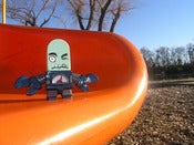 Image of Pistachio