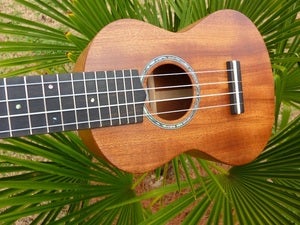 Image of LoPrinzi Custom Mahogany Model A Concert