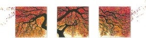 Image of Open Your Mind....and The World Expands