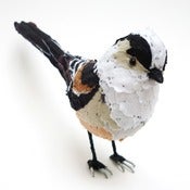 Image of LONG TAILED TIT