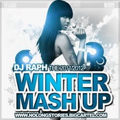 Image of DJ Raph - The 2011 / 2012 Winter Mashup Mix CD!