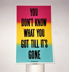 Image of You Don't Know What You Got print