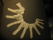 Image of Yellow Swans/Oakeater split 12" 