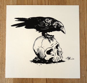 Image of Storm Crow