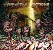 Image of Septicemia - Antraks - Split