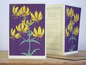 Image of 'Lilly' Screenprinted Notecard