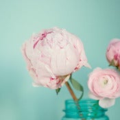 Image of Bloom I